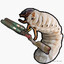 GRUB
