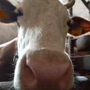 Bonifacy - steam id 76561199149684975