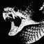nagaS1
