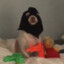 PatronWilly
