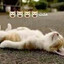 tede