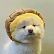 我爱吃她吐的痰