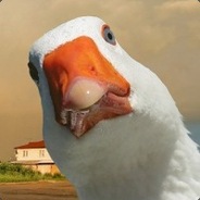 Vik_prod