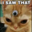 I SAW THAT