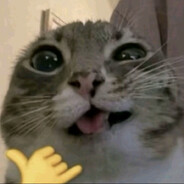 D4nonkich - steam id 76561199608594161