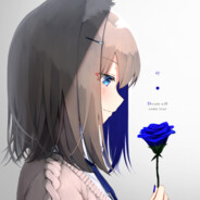 超级猫猫不怕困难