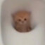 mimi mimimi mimi