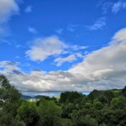 明義生（應華義仁）