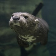 Fuqi我网好不卡的