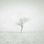 windjack