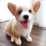 你不是天灵根，吃颗铝热剂吧