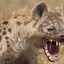 Hyena