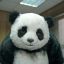 Baloo[IT]