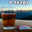кормлю собак