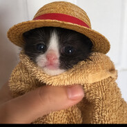 el Parcha