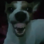 Yallim Steam avatar