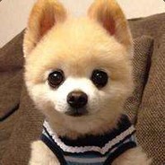 小*的主人二郎神