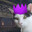 vShawneh