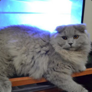 180 Hz diyeceksiniz.