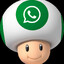 whatsapp toad
