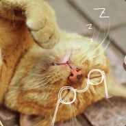 乐清文艺小青年