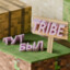 TRIBE