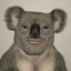 ✪ Koala jí Centellu