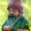 The wizerd Gnome