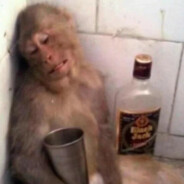 她的蝴蝶久经沙场