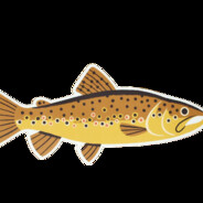 Trout