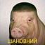 шкворень