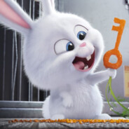 队友盛饭我端锅