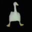 The_duck