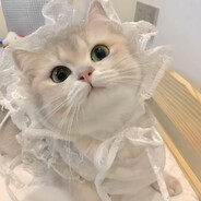 にゃ゜す(ニャース)