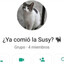 ¿Ya comió la Susy?🐈‍⬛
