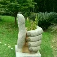 星空下的圣域