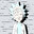 ITS-RICK