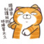 春捲哥