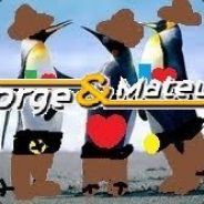 þinguim sertanejo! ♪