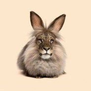 maein avatar