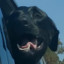 Kman