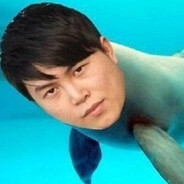 你真是一条好狗