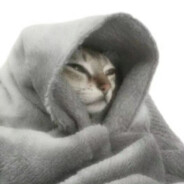 丸子喜欢找乐子