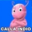 Yo y mis 4 especiales