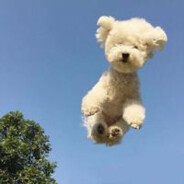 比奇堡不想上班章鱼哥