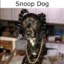 Snopp Dogg
