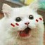 猫卿_希灵帝国