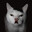 Meowdolf Kitler