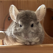 嘻嘻嘻哈哈哈666