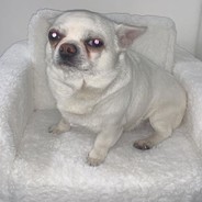 БОМБЭПОМЭДОК